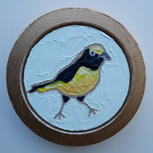 "blueless bird" (3" circle)