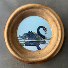 la solitudine  8" original oil black swan