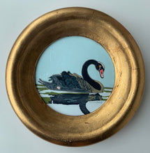 la solitudine  8" original oil black swan