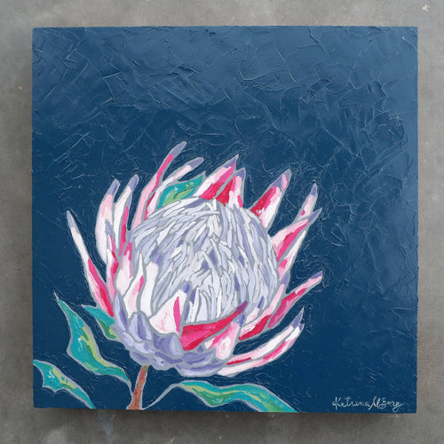 blue protea (12