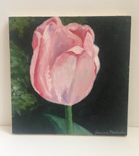 jessica michaelson - “small pink tulip” (6 x 6”)
