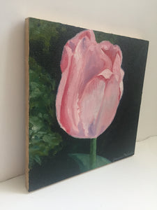jessica michaelson - “small pink tulip” (6 x 6”)