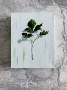 annie morgan preece - “cilantro sprig” (8 x 10”)